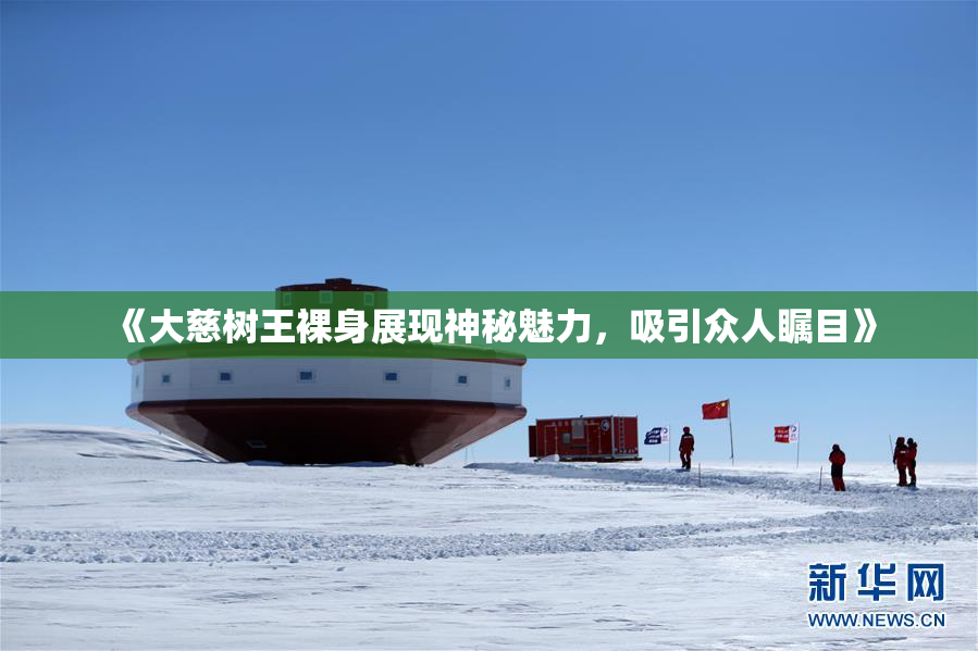 《大慈树王裸身展现神秘魅力，吸引众人瞩目》