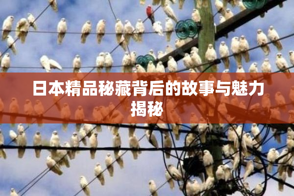 日本精品秘藏背后的故事与魅力揭秘