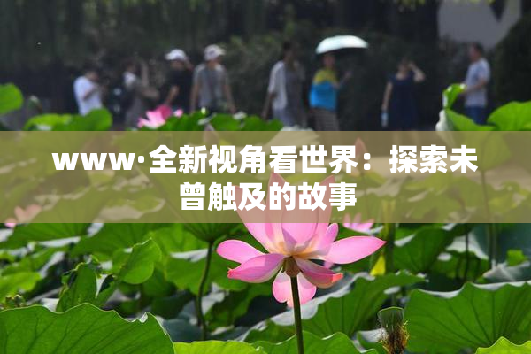 www·全新视角看世界：探索未曾触及的故事