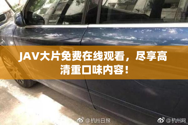 JAV大片免费在线观看，尽享高清重口味内容！