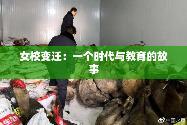 女校变迁：一个时代与教育的故事