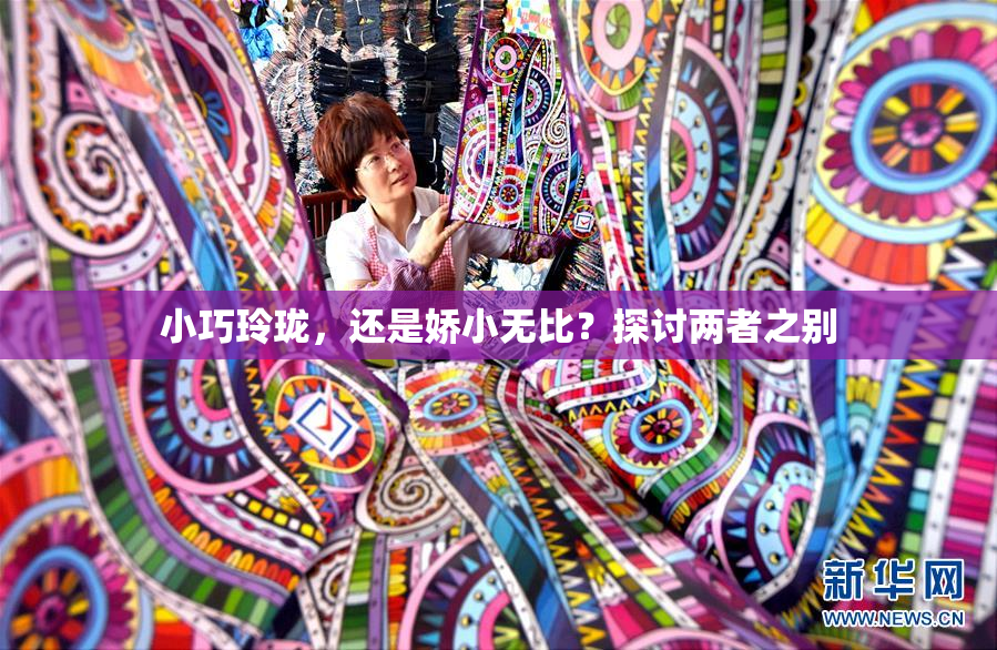小巧玲珑，还是娇小无比？探讨两者之别