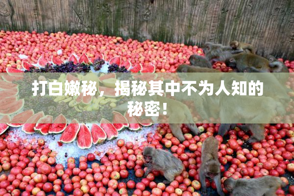 打白嫩秘，揭秘其中不为人知的秘密！