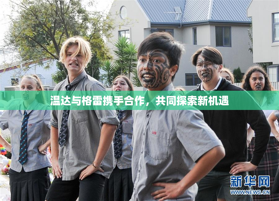 温达与格雷携手合作，共同探索新机遇