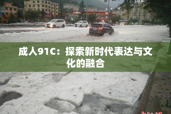 成人91C：探索新时代表达与文化的融合