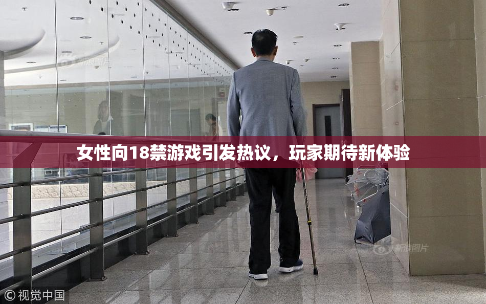 女性向18禁游戏引发热议，玩家期待新体验