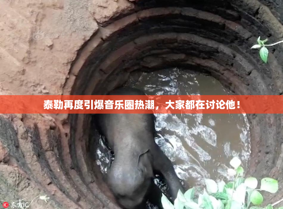 泰勒再度引爆音乐圈热潮，大家都在讨论他！