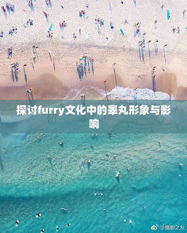 探讨furry文化中的睾丸形象与影响