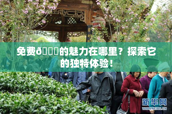 免费🔞的魅力在哪里？探索它的独特体验！