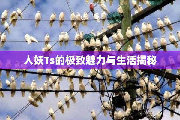人妖Ts的极致魅力与生活揭秘