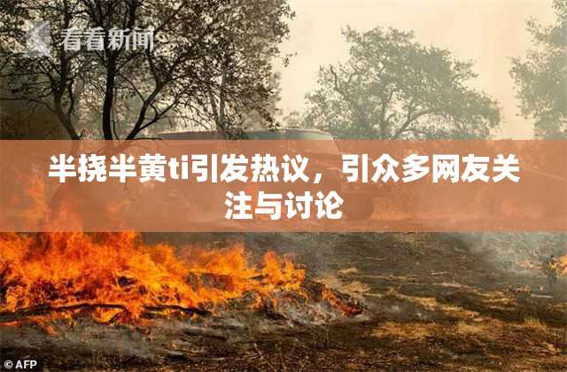 半挠半黄ti引发热议，引众多网友关注与讨论