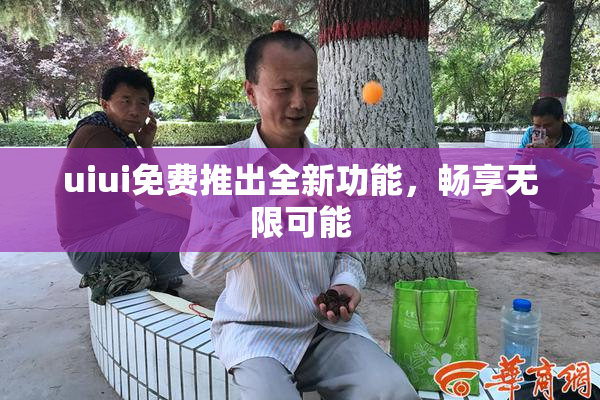 uiui免费推出全新功能，畅享无限可能