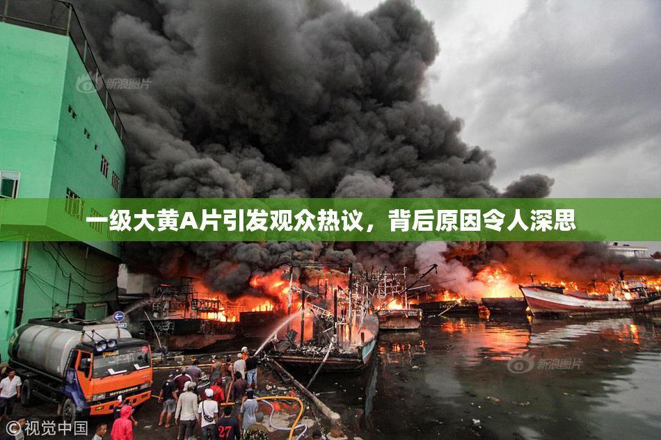 一级大黄A片引发观众热议，背后原因令人深思