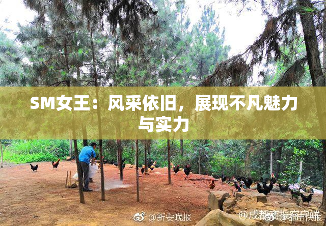 SM女王：风采依旧，展现不凡魅力与实力