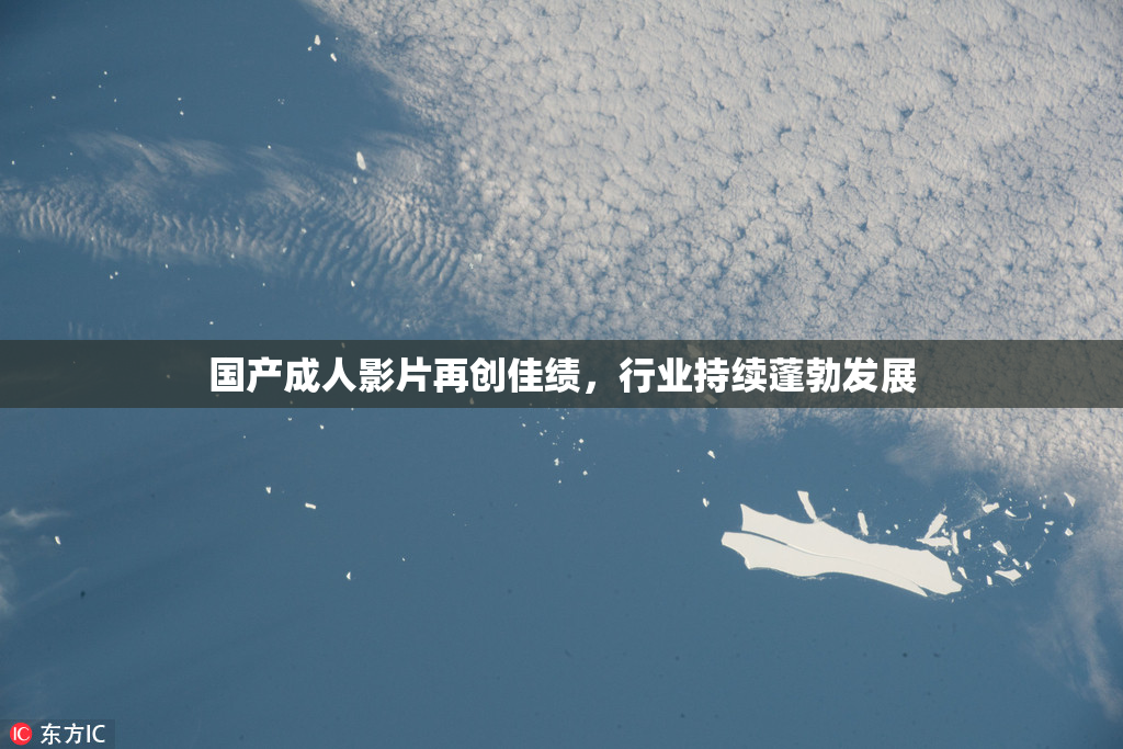 国产成人影片再创佳绩，行业持续蓬勃发展