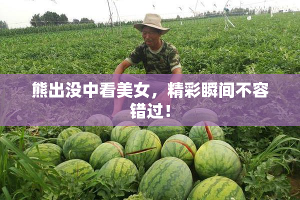 熊出没中看美女，精彩瞬间不容错过！