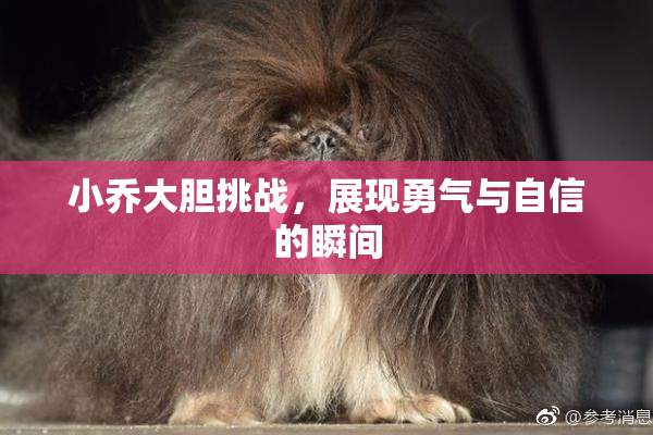 小乔大胆挑战，展现勇气与自信的瞬间