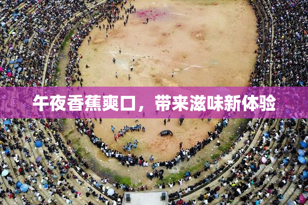 午夜香蕉爽口，带来滋味新体验