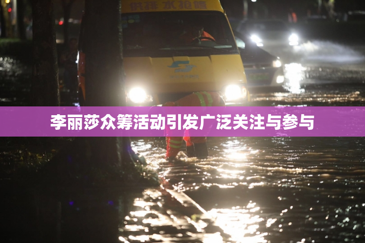 李丽莎众筹活动引发广泛关注与参与