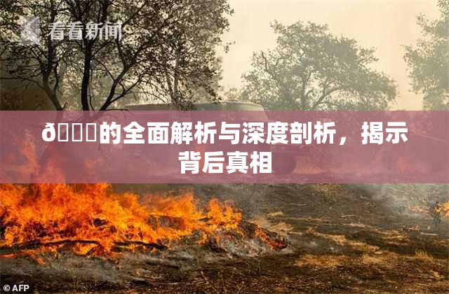 🈚的全面解析与深度剖析，揭示背后真相