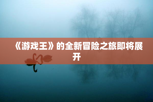 《游戏王》的全新冒险之旅即将展开