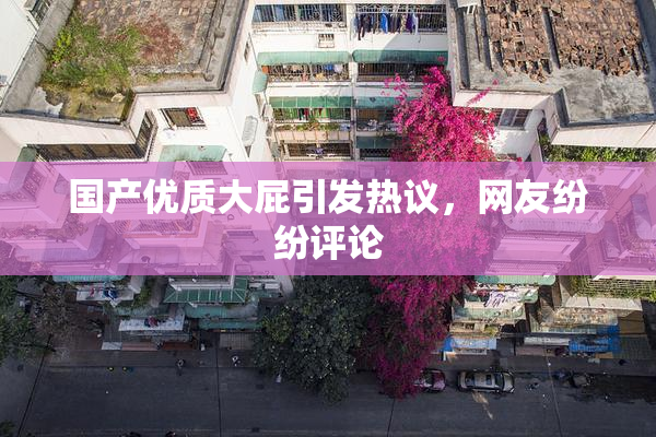 国产优质大屁引发热议，网友纷纷评论
