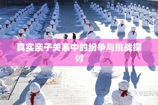 真实亲子关系中的纷争与挑战探讨