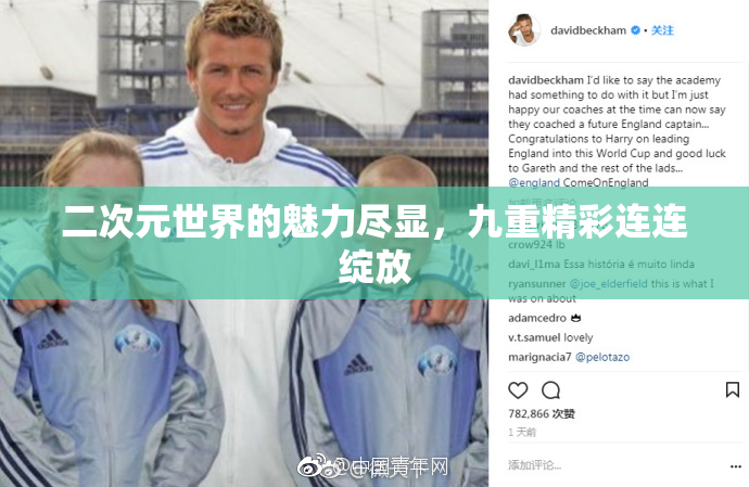 二次元世界的魅力尽显，九重精彩连连绽放
