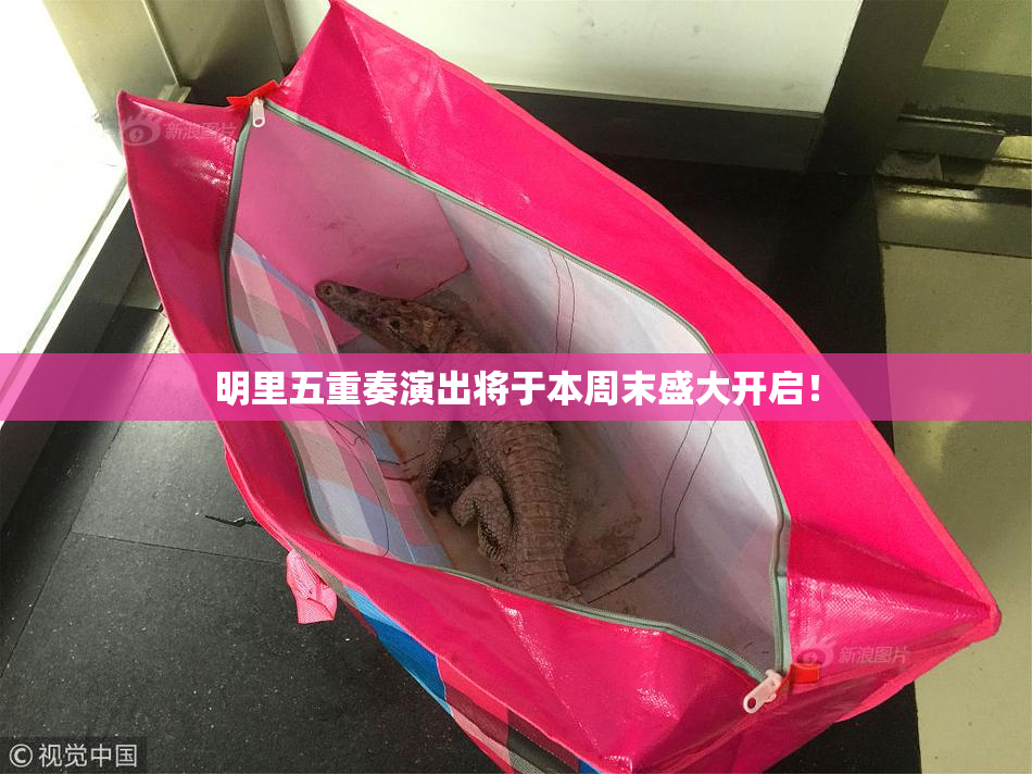 明里五重奏演出将于本周末盛大开启！