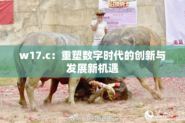 w17.c：重塑数字时代的创新与发展新机遇