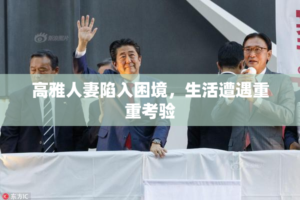 高雅人妻陷入困境，生活遭遇重重考验