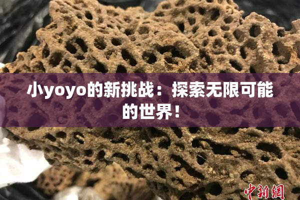 小yoyo的新挑战：探索无限可能的世界！