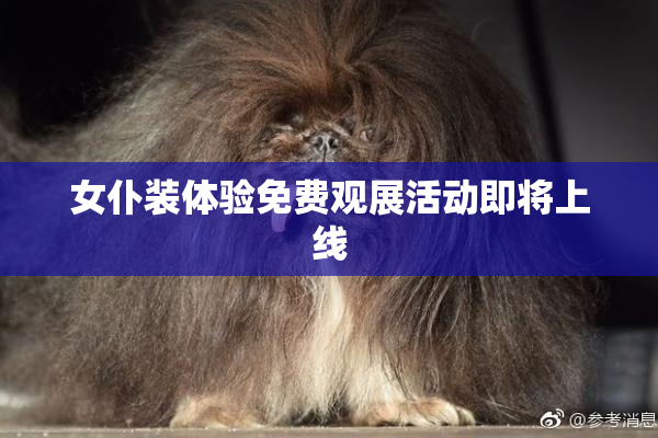 女仆装体验免费观展活动即将上线