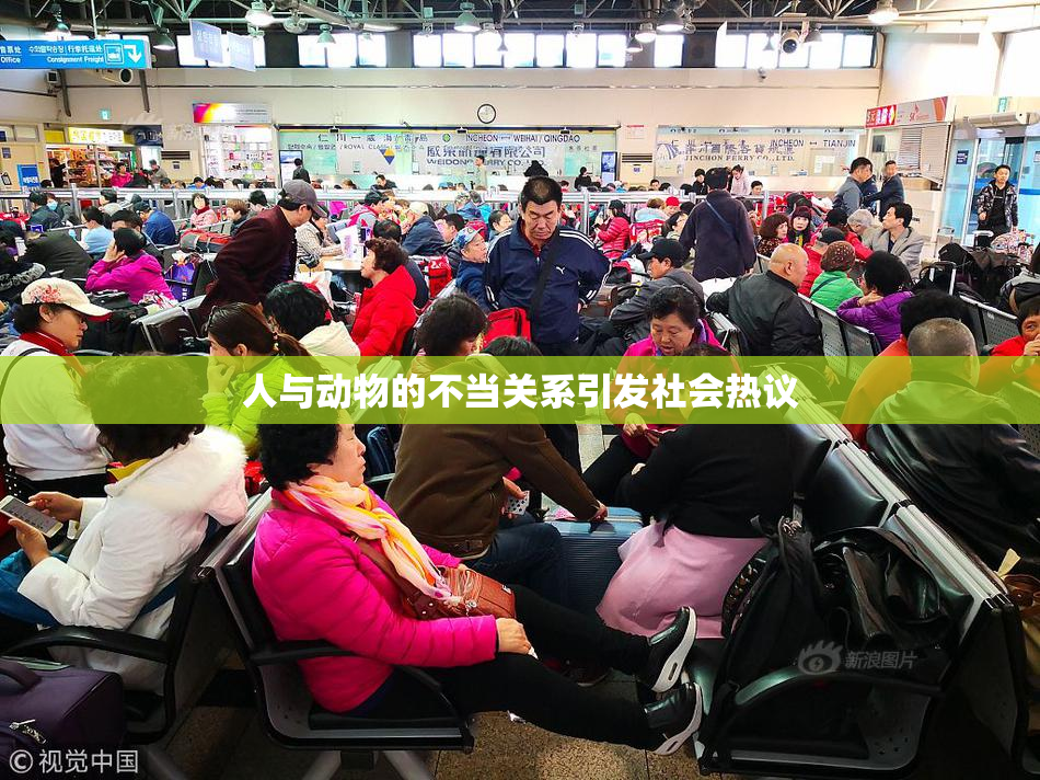 人与动物的不当关系引发社会热议