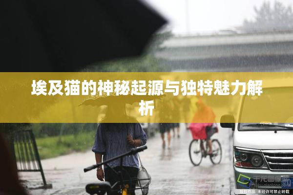 埃及猫的神秘起源与独特魅力解析