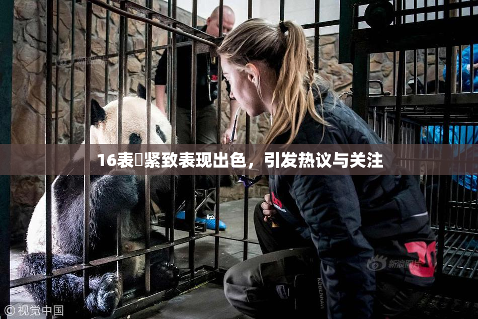 16表妺紧致表现出色，引发热议与关注