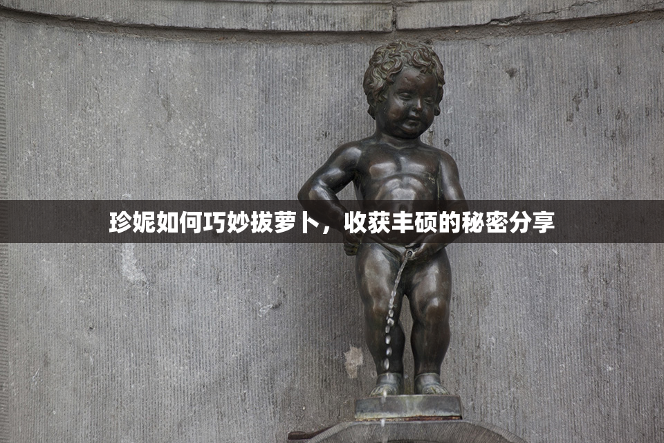 珍妮如何巧妙拔萝卜，收获丰硕的秘密分享