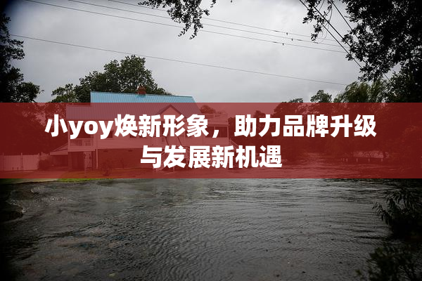 小yoy焕新形象，助力品牌升级与发展新机遇
