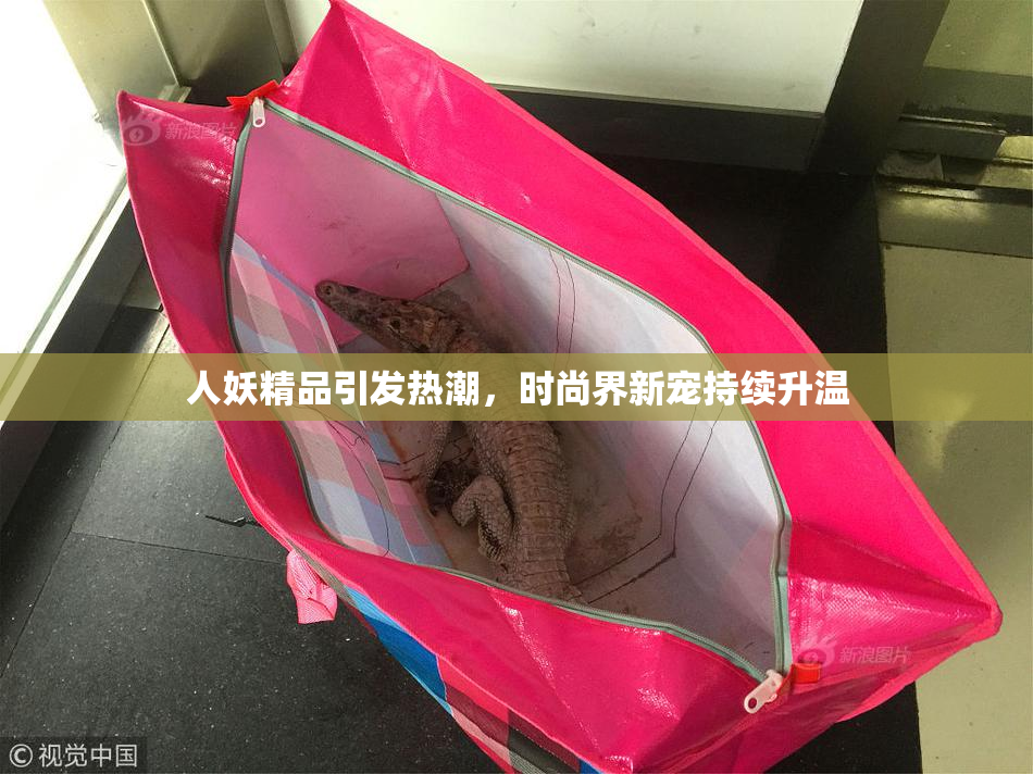 人妖精品引发热潮，时尚界新宠持续升温