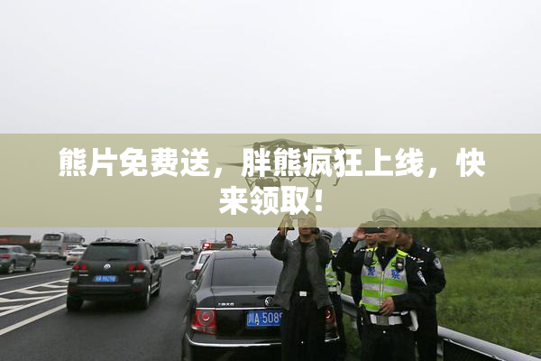 熊片免费送，胖熊疯狂上线，快来领取！