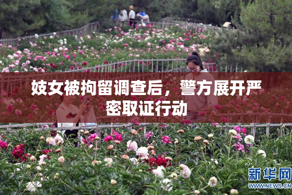 妓女被拘留调查后，警方展开严密取证行动