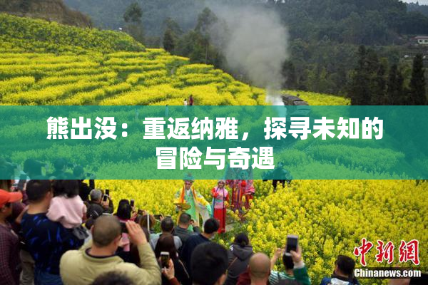 熊出没：重返纳雅，探寻未知的冒险与奇遇