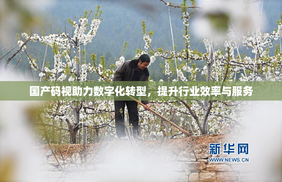 国产码视助力数字化转型，提升行业效率与服务