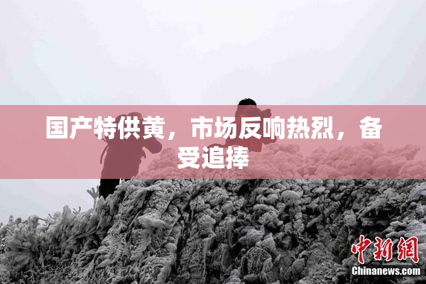 国产特供黄，市场反响热烈，备受追捧