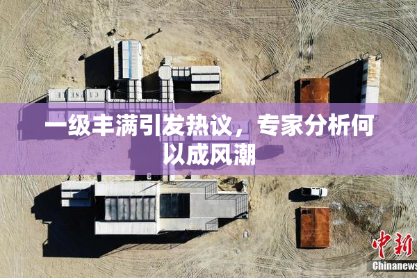 一级丰满引发热议，专家分析何以成风潮