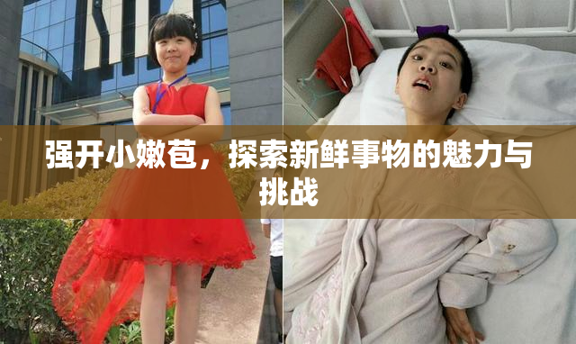 强开小嫩苞，探索新鲜事物的魅力与挑战