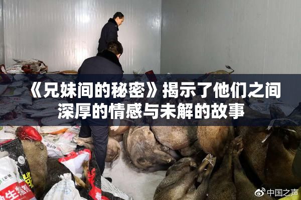 《兄妹间的秘密》揭示了他们之间深厚的情感与未解的故事
