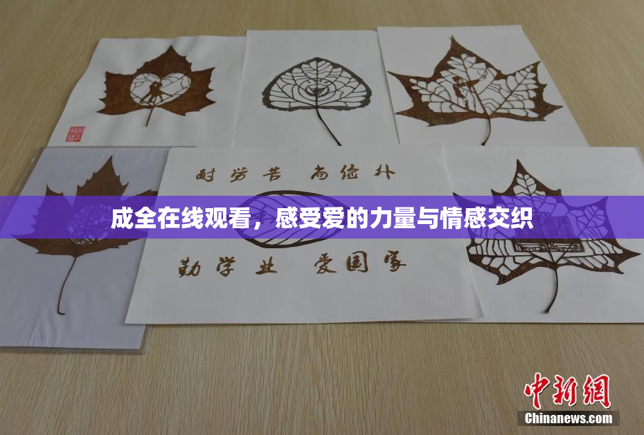 成全在线观看，感受爱的力量与情感交织