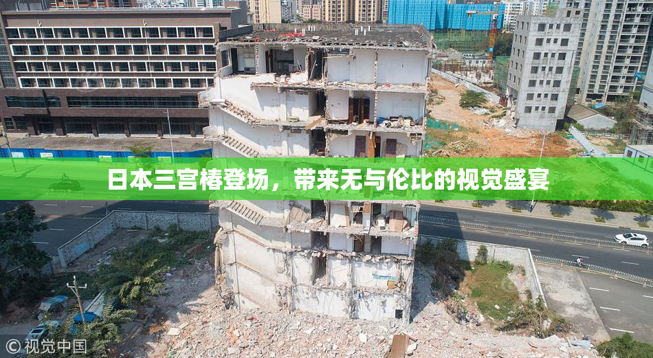 日本三宫椿登场，带来无与伦比的视觉盛宴