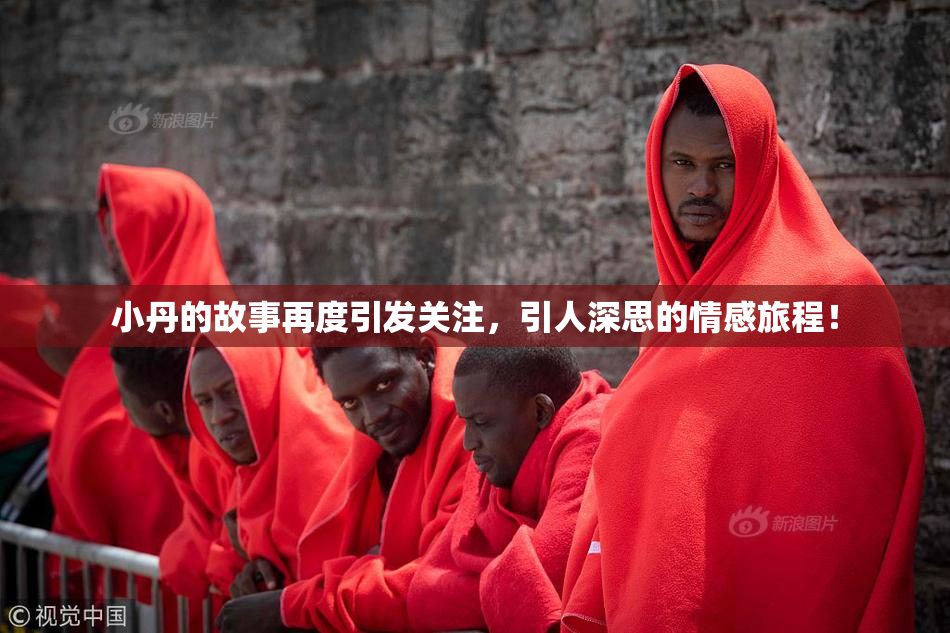 小丹的故事再度引发关注，引人深思的情感旅程！